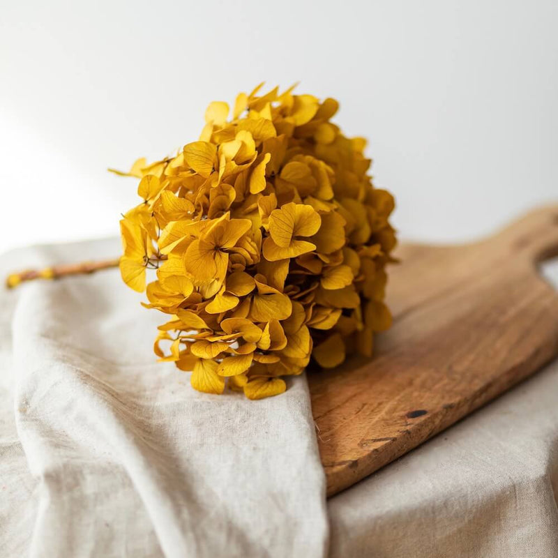 mettre des fleurs sechees chez soi