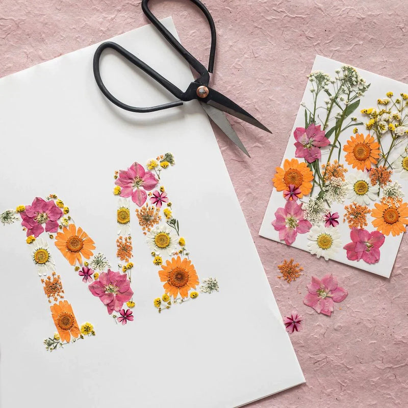 comment-faire-un-herbier