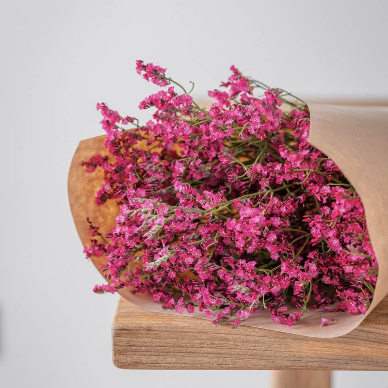 quelle-fleurs-sechees