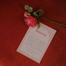 Coffret la Meilleure Maîtresse