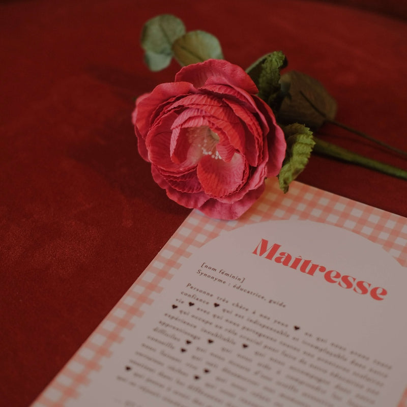 Coffret la Meilleure Maîtresse