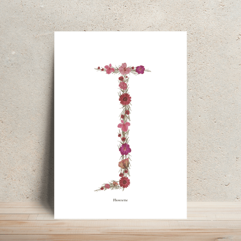 Affiche A4 herbier lettre rose
