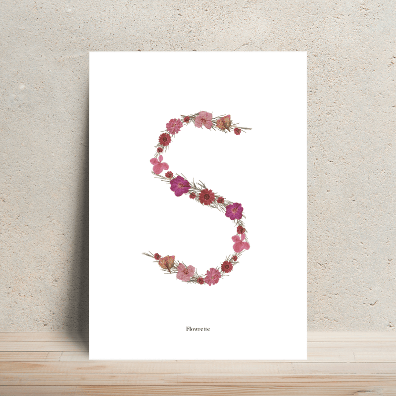 Affiche A4 herbier lettre rose