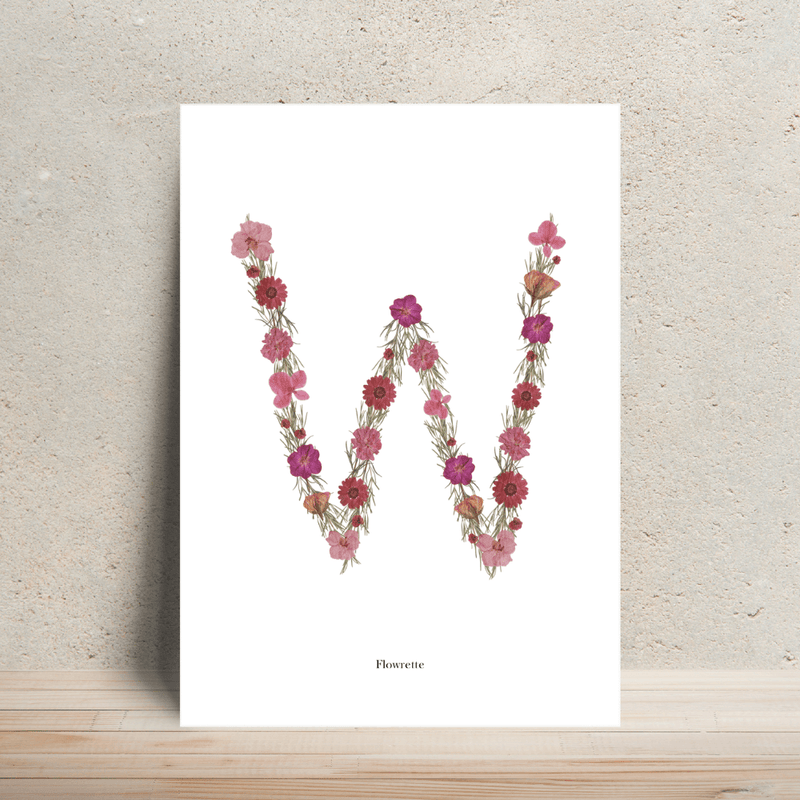 Affiche A4 herbier lettre rose