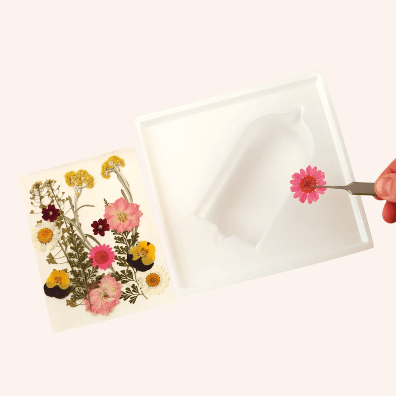 Kit bougies prairie fleurie