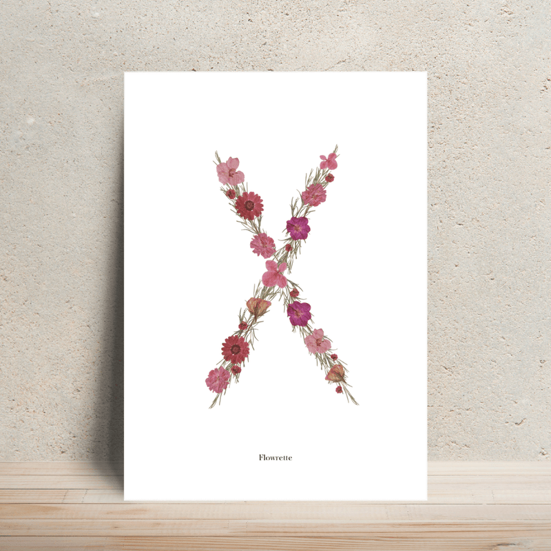 Affiche A4 herbier lettre rose