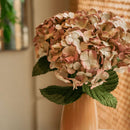 Hortensia en papier vieux rose