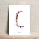 Affiche A4 herbier lettre rose