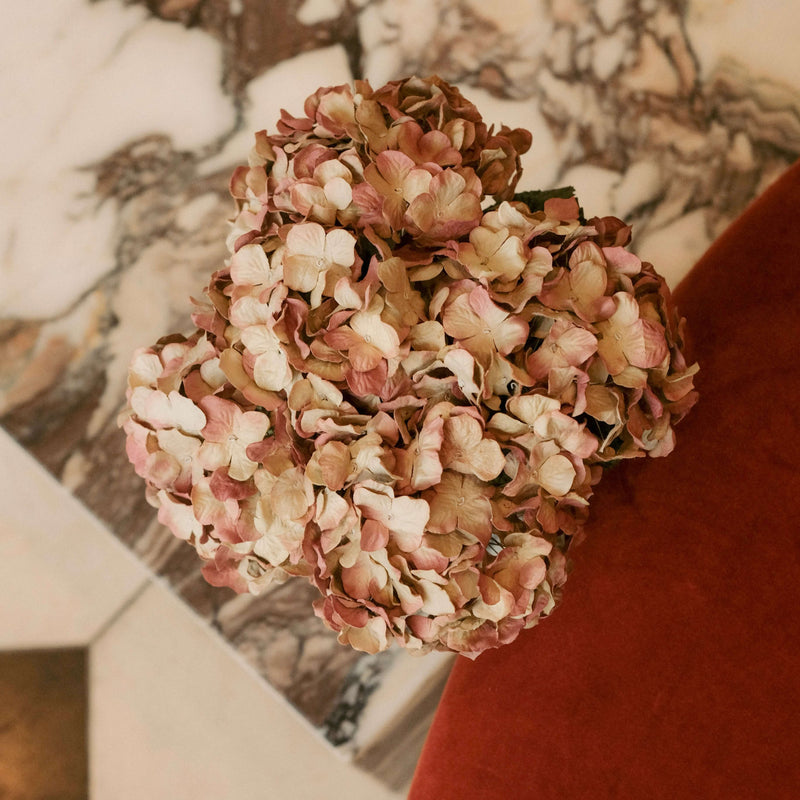 Hortensia en papier vieux rose