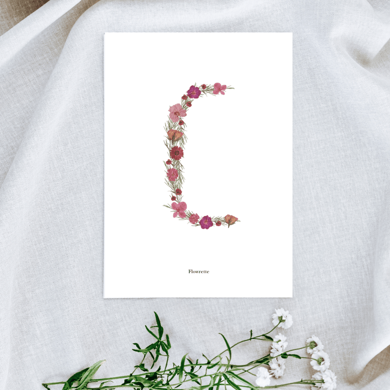Affiche A5 herbier lettre rose