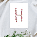 Affiche A5 herbier lettre rose