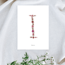 Affiche A5 herbier lettre rose