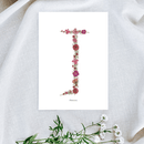 Affiche A5 herbier lettre rose