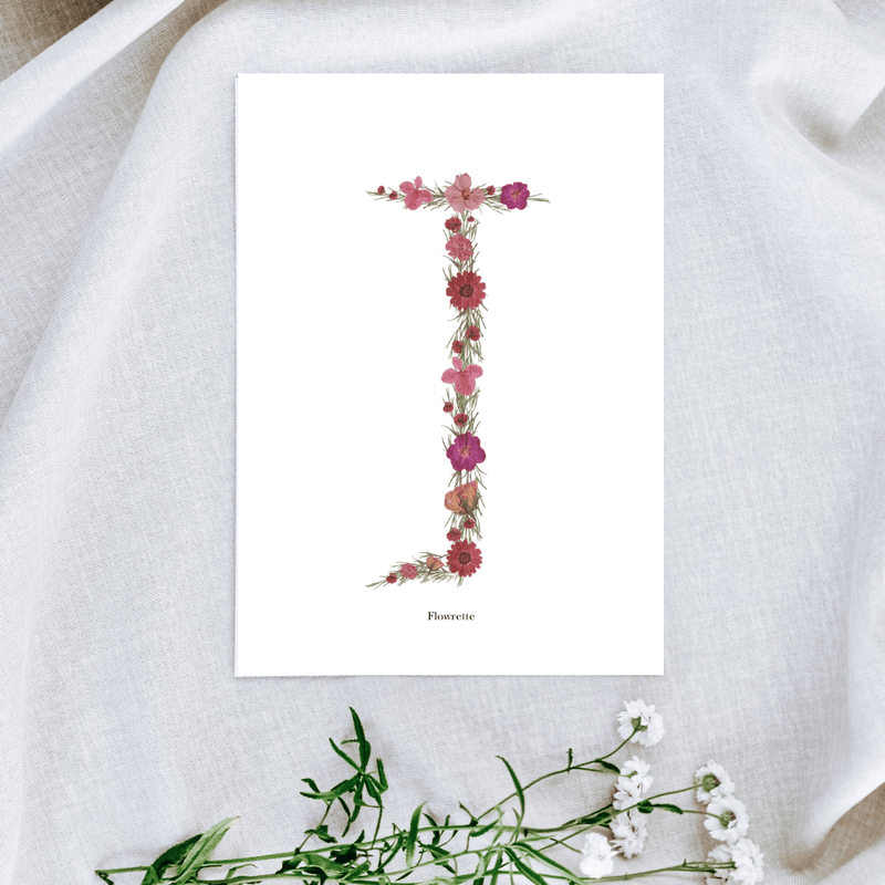 Affiche A5 herbier lettre rose