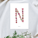 Affiche A5 herbier lettre rose