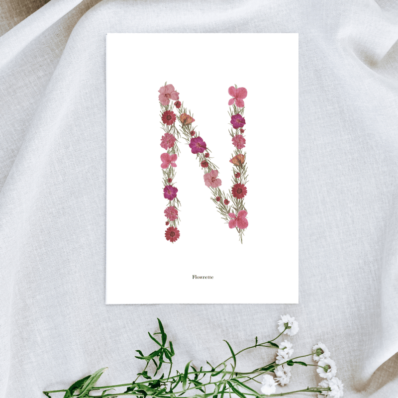 Affiche A5 herbier lettre rose