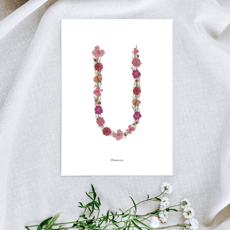 Affiche A5 herbier lettre rose