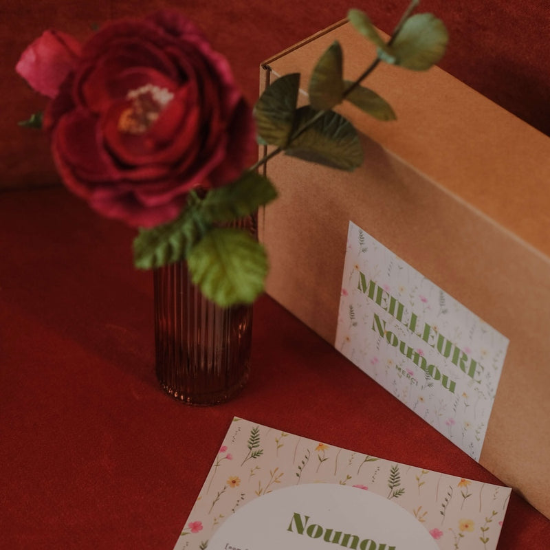 Coffret la Meilleure Nounou