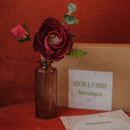 Coffret la Meilleure Nounou