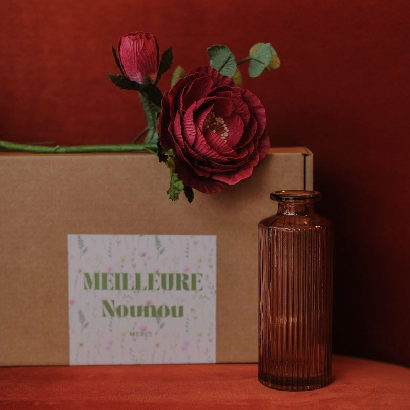 Coffret la Meilleure Nounou