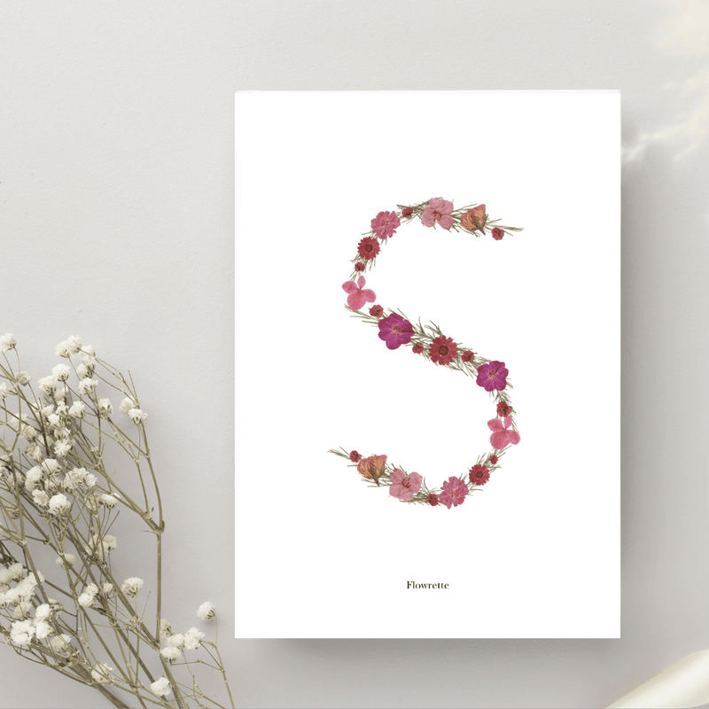 Affiche A5 herbier lettre rose