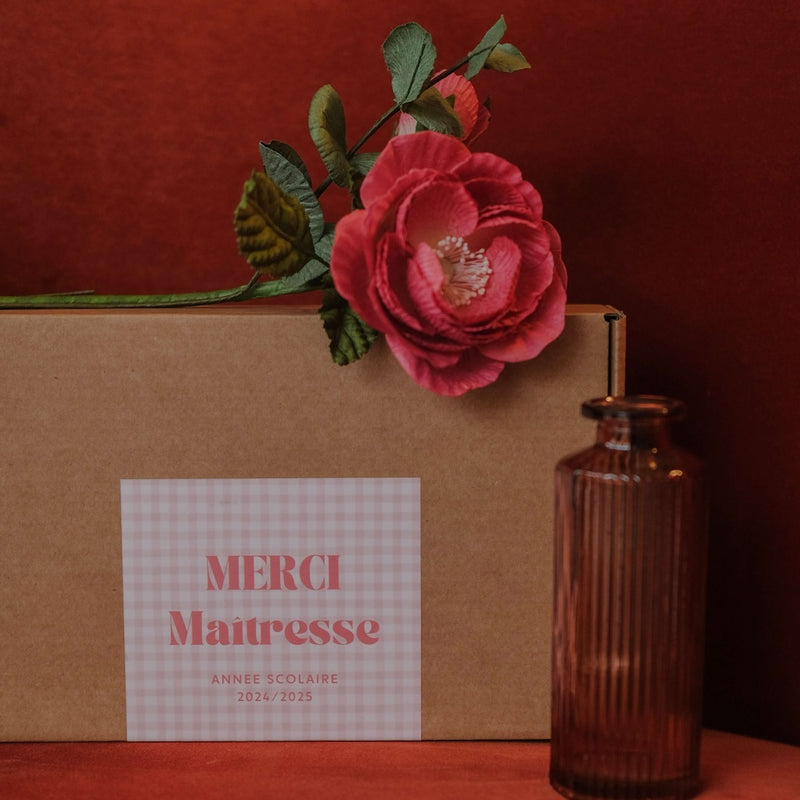 Coffret la Meilleure Maîtresse