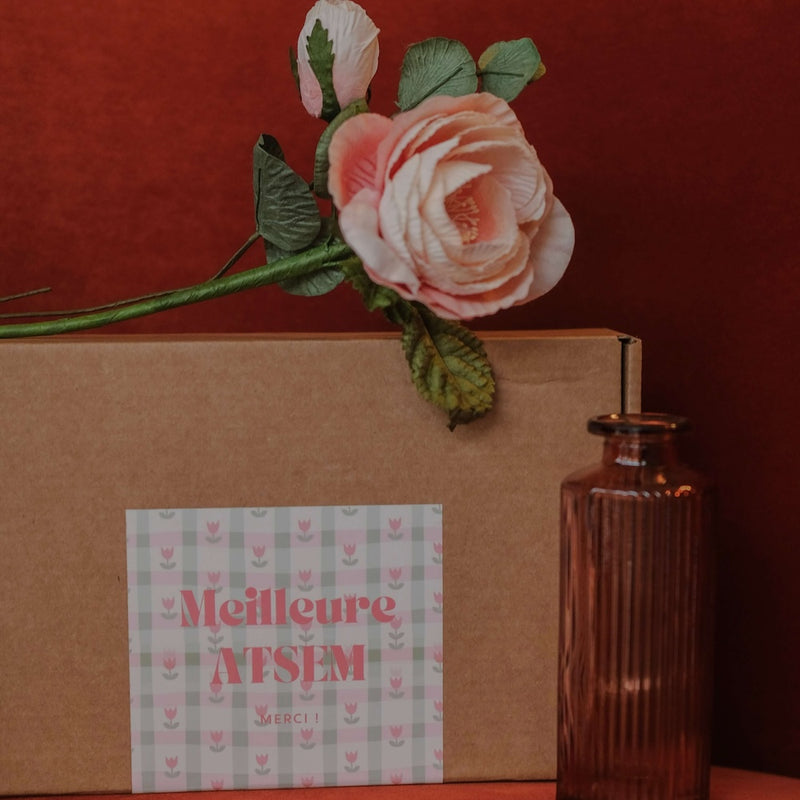 Coffret la Meilleure ATSEM