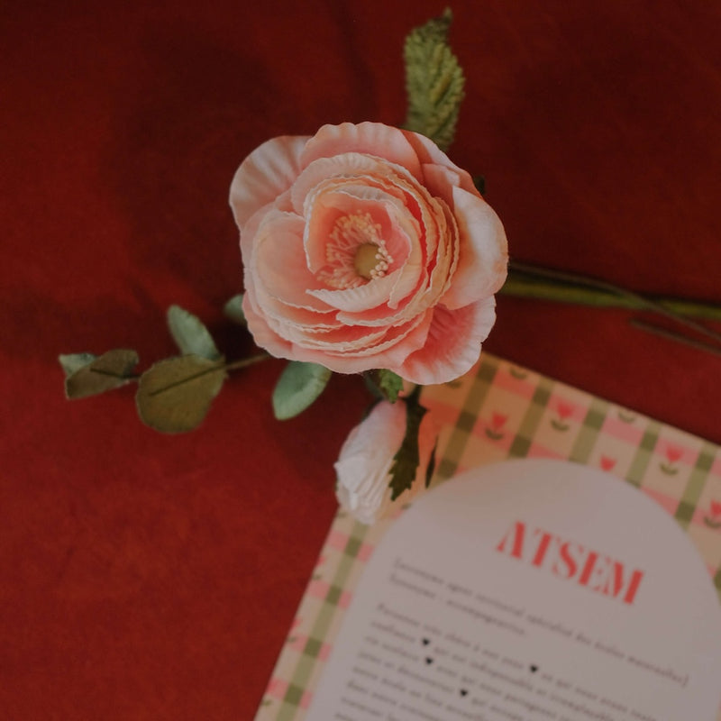 Coffret la Meilleure ATSEM