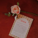 Coffret la Meilleure ATSEM