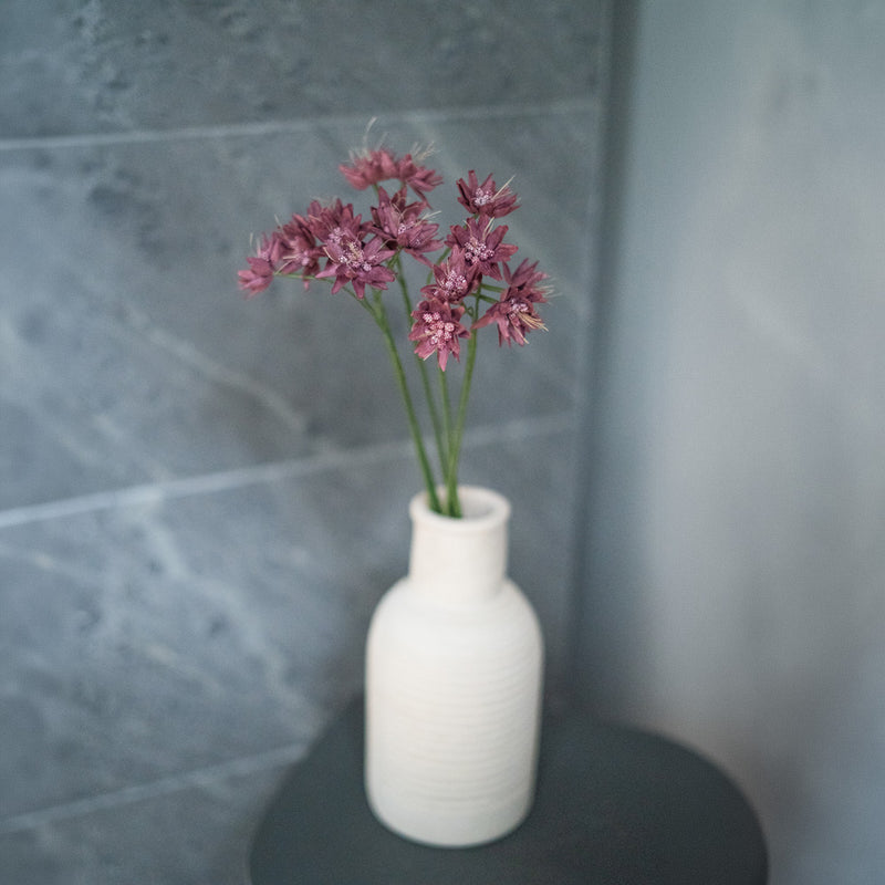 Purple Paper Astrance