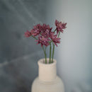 Purple Paper Astrance