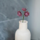 Purple Paper Astrance