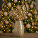 Bota de ruscus dorado