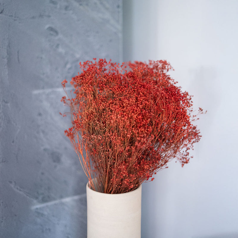 Botte Broom bloom Rouille