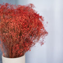 Botte Broom bloom Rouille