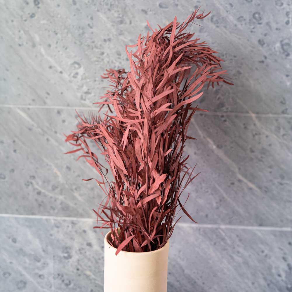 Eucalyptus Boot Nicoli Rouge