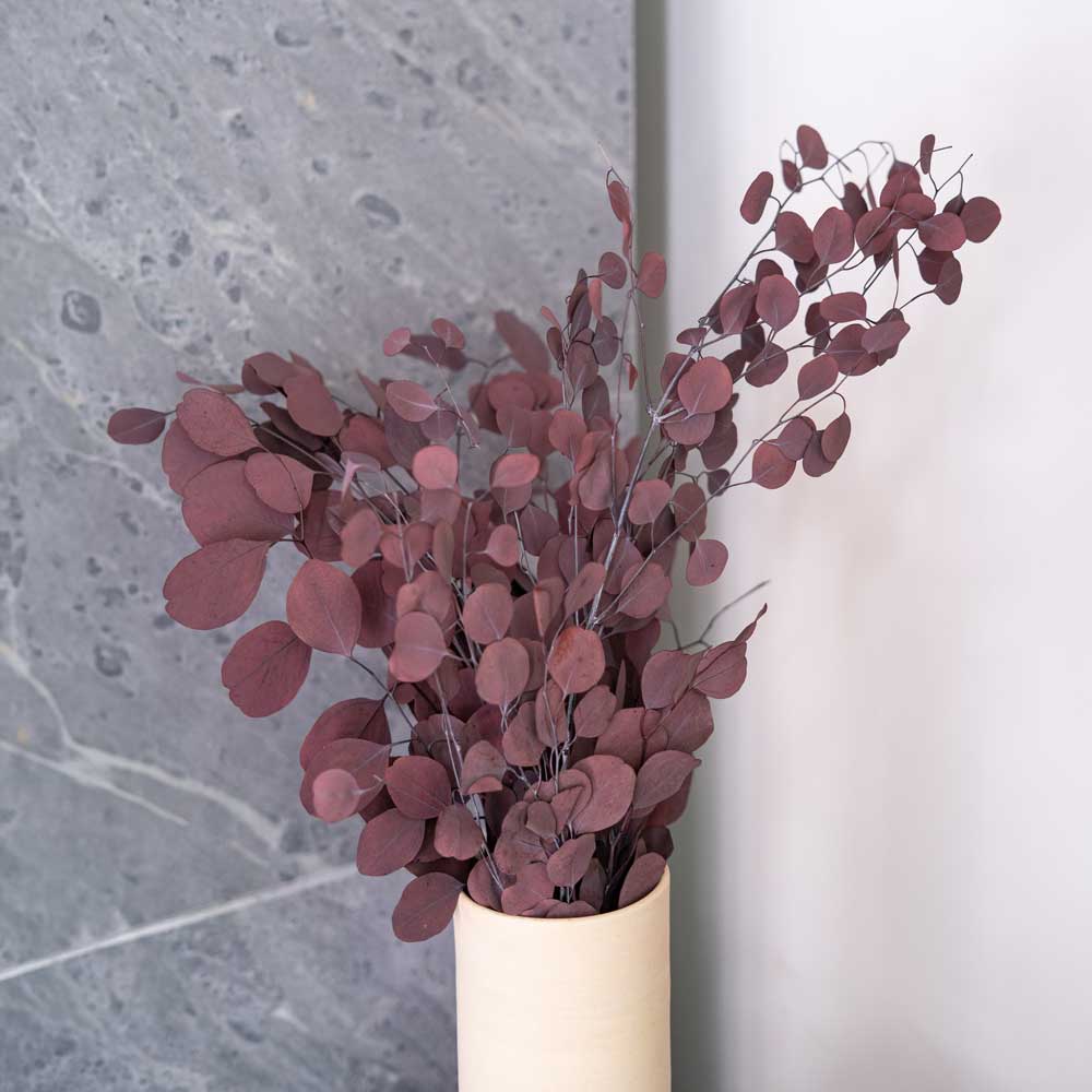 Eucalyptus Populus Bordeaux boot