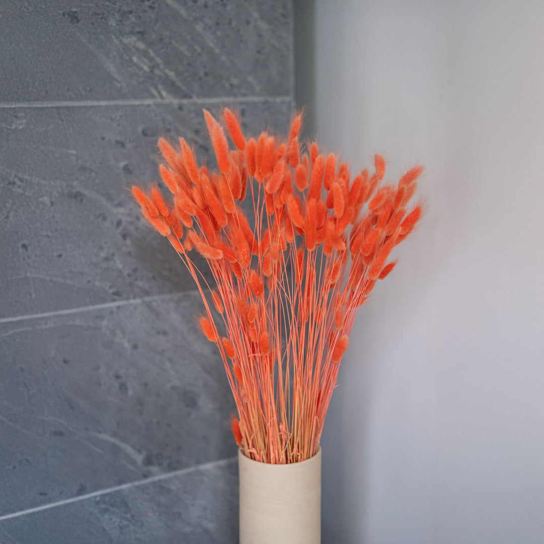 Botte Lagurus Orange