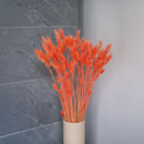 Botte Lagurus Orange