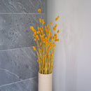 Botte Phalaris Jaune