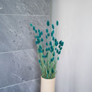 Botte Phalaris Vert émeraude