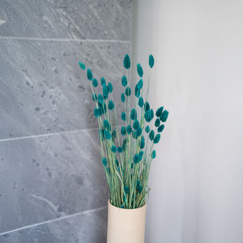 Botte Phalaris Vert émeraude