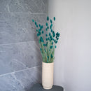 Botte Phalaris Vert émeraude