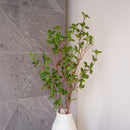 Artificial branch of Milan