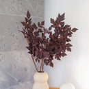 Artificial branch of Cimicifuga