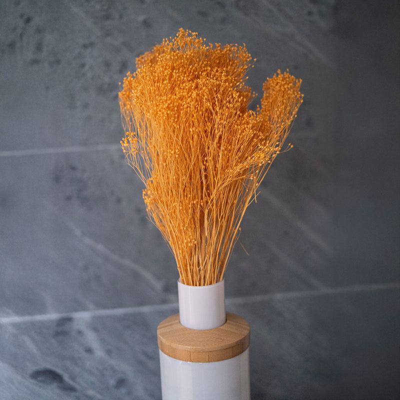 bottes de fleurs séchées flowrette colorée terracotta broombloom