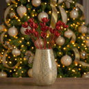 Dried Castanopsis on stem Red