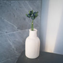 Panicaut thistle in turquoise blue paper