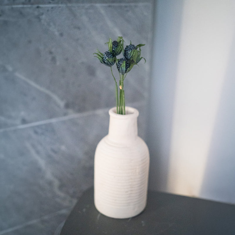 Panicaut thistle in turquoise blue paper