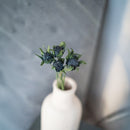 Panicaut thistle in turquoise blue paper